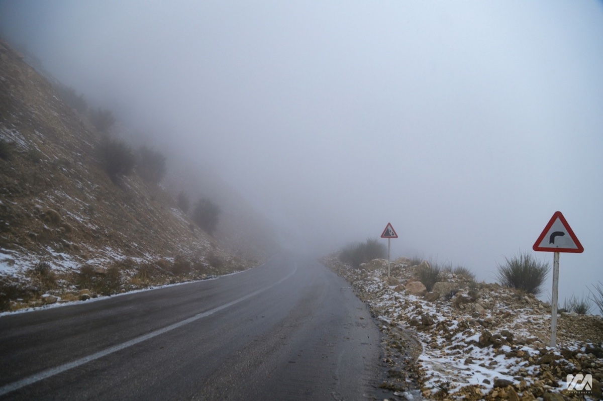 اجاره خودرو در ایران